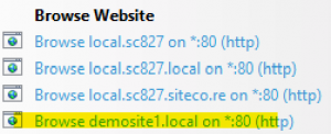 dynamic-sites-1.9-install-9